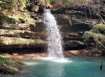 alabama/bankhead-national-forest/shop/bankhead-national-forest