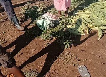 kenya/tana-river-basin/shop/tana-river-market-machakos