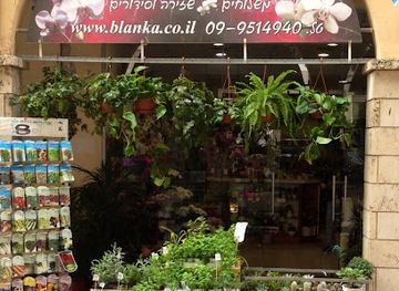 israel/herzliya/shop/blanka-flowers