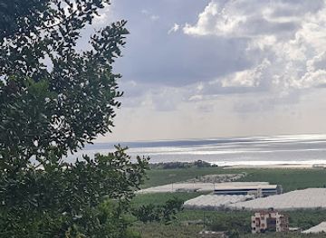 lebanon/tyre-coast/shop/savanah-tyre