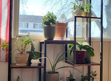 indiana/south-bend/shop/the-value-finds