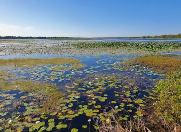 australia/kakadu-national-park/shop/mamukala-wetlands
