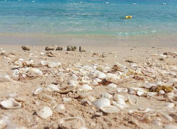 united-arab-emirates/sir-bani-yas-island/shop/sir-bani-yas-cruise-port