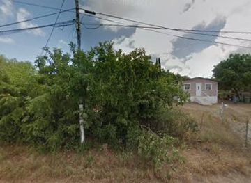 curacao/curacao-ostrich-farm/shop/lijstenmakerij-curie