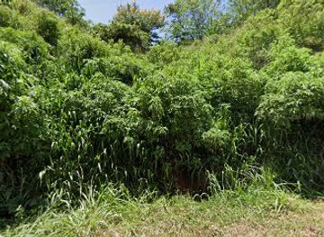 sri-lanka/ella/shop/drinks-at-the-rails