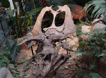 new-mexico/southeast-new-mexico/shop/natureworks-discovery-store