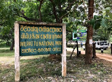 sri-lanka/wilpattu-national-park/shop/dilum-wilpattu-safari-jeep-service
