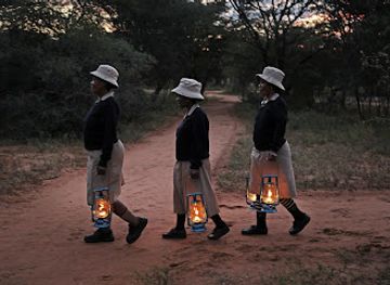 botswana/tuli-block/shop/stevensford-game-reserve