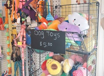 belize/lighthouse-reef-atoll/shop/pet-s-paradise