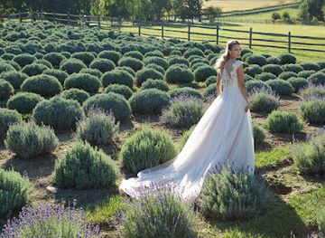 louisiana/chenier-plain/shop/olivier-couture-bridal-boutique
