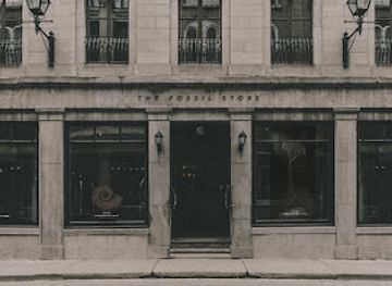 united-kingdom/lancashire/shop/the-fossil-store