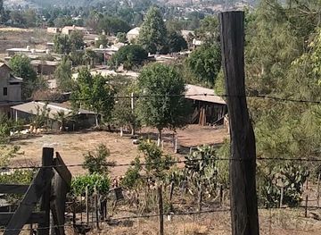 mexico/sierra-madre-occidental/shop/abarrote-sofia