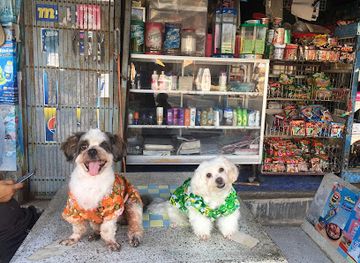 thailand/rayong/rayong-beach/shop/marine-shop