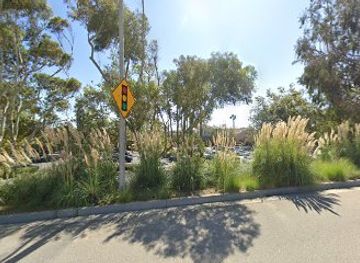 california/malibu/shop/skill-chart