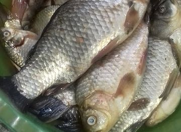 romania/ramnicu-valcea/shop/market-magazin