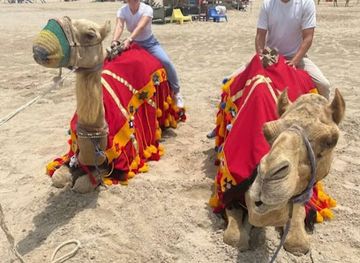 qatar/khor-al-adaid-inland-sea/shop/khor-al-adid