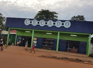 gabon/chaillu-massif/shop/cecado-lebamba