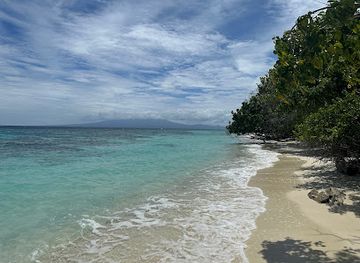 solomon-islands/munda-dive-sites/shop/dive-gizo