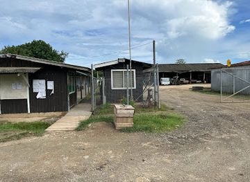 solomon-islands/kolombangara-island/shop/kfpl-ringgi-office