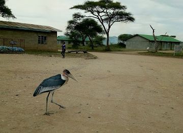 tanzania/serengeti-national-park/shop/shops