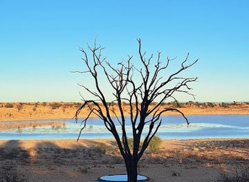 south-africa/kgalagadi-transfrontier-park/shop/bitterpan-wilderness-camp
