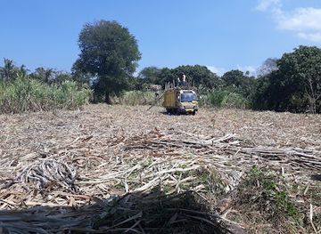 indonesia/pulau-moyo/shop/maha-surya-samawa