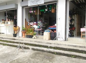 philippines/legazpi/old-albay-district/shop/ryza-shoppe-plant-and-pots-store