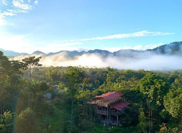 ecuador/mindo-cloud-forest/shop/bird-paradise-tours-mindo
