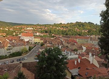 romania/sighisoara-area/shop/penny