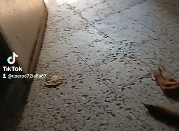 guatemala/puerto-barrios/shop/honey-love