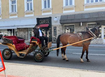 slovenia/lake-bled/shop/huberto-siroka