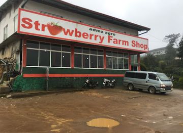 sri-lanka/nuwara-eliya/shop/strawberry-drinks