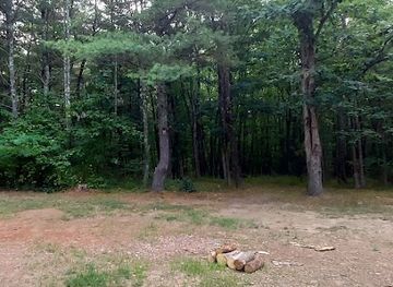 maryland/green-ridge-state-forest/shop/green-ridge-state-forest-campsite-23