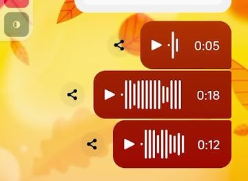 laos/vang-vieng/shop/anousith-express-shop-vang-vieng