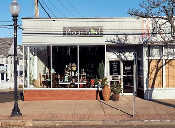 connecticut/greenwich-point-park/shop/pious-bird-of-good-omen