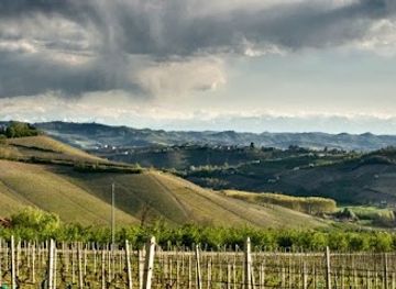 italy/langhe/shop/lovelanghe-visite-in-cantina-ed-eventi-nelle-langhe-e-in-piemonte
