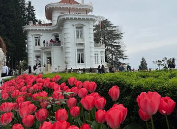 turkiye/trabzon/ortahisar/shop/hediyelik-esya