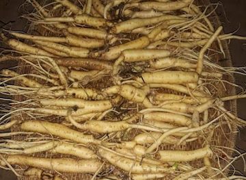 laos/xekong-province/shop/sale-all-every-one-need