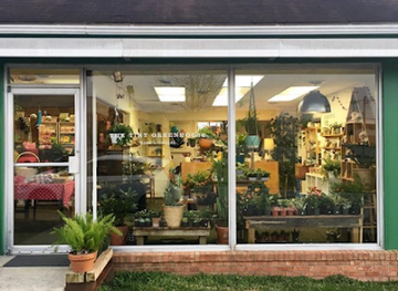 north-carolina/piedmont-triad/shop/the-tiny-greenhouse