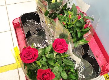 uzbekistan/fergana-valley/shop/muso-gullar-do-koni