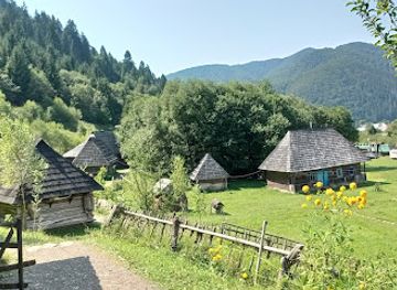 ukraine/transcarpathia/shop/museum-old-village