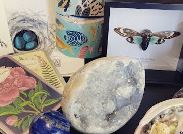 maine/biddeford/shop/briar-bone