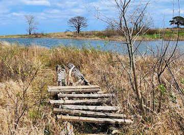 illinois/illinois-beach-state-park/shop/illinois-beach-nature-preserve