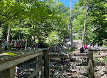 maryland/catoctin-mountain-park/shop/catoctin-mountain-park