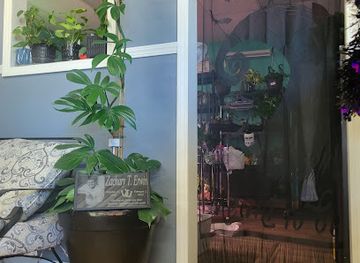 indiana/anderson/shop/wild-moon-child-garden-boutique-llc