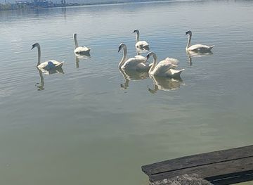 romania/moldova-area/shop/moldova-noua