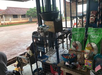 ghana/bono-region/shop/ayefro-provisions