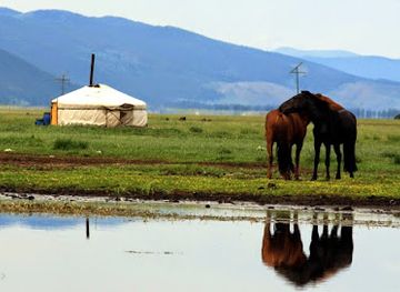 mongolia/zavkhan-river-valley/shop/zendmen-travel