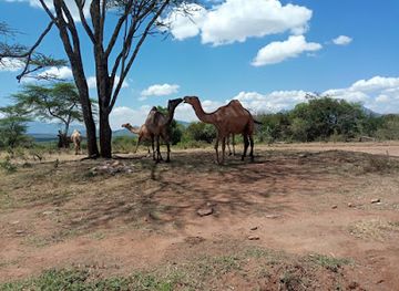 kenya/pokot-region/shop/orolwa-market