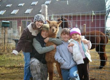 massachusetts/quabbin-reservoir/shop/great-rock-alpacas